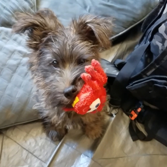 Lots of cute stuff!!😊😊 - Picture 4 of 12